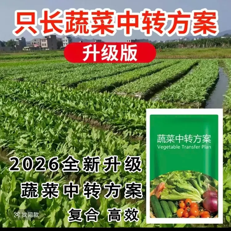 升级款阔叶蔬菜专用四合一增产套装不伤农作物厂家直销农机农具商品图