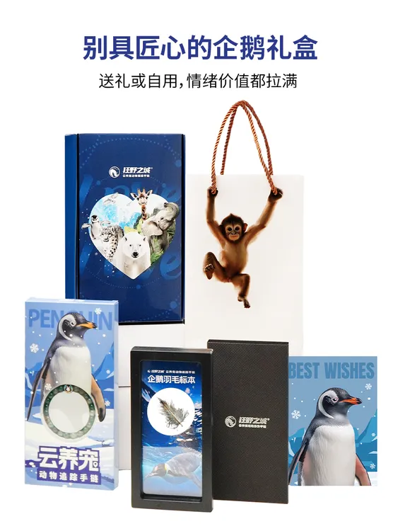 【企鹅礼盒】云养宠动物追踪手链