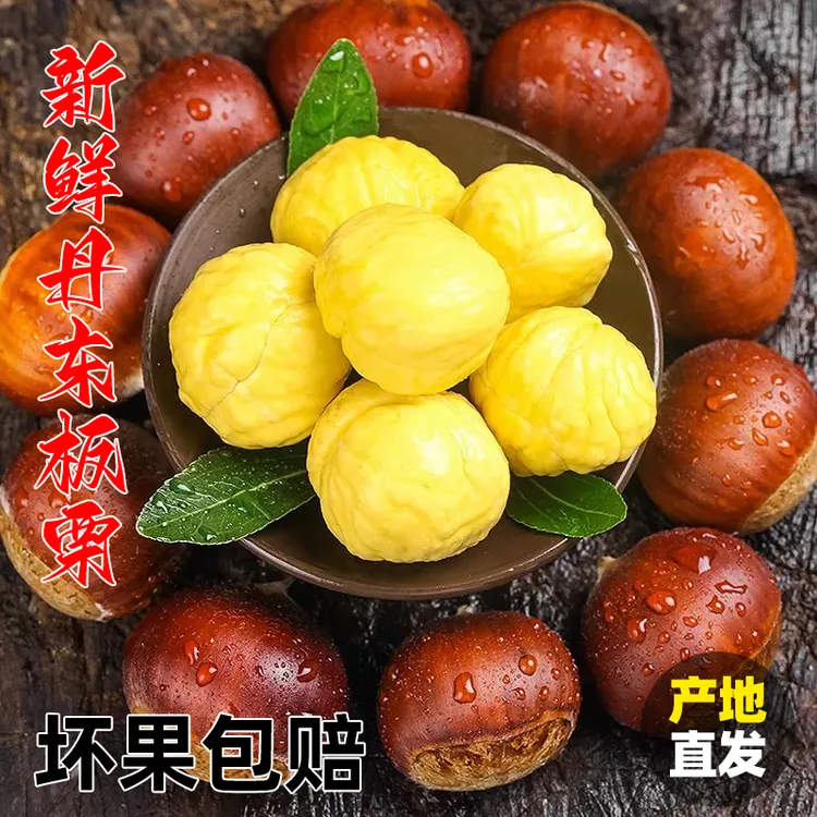 新鲜丹东板栗甜糯可蒸烤煎煮的高山老树板栗精选难剥皮板栗