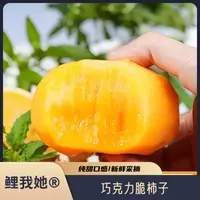 鲤我她®巧克力糖心脆柿子正宗整箱秋冬氛尝鲜新鲜水果甜蜜多汁水
