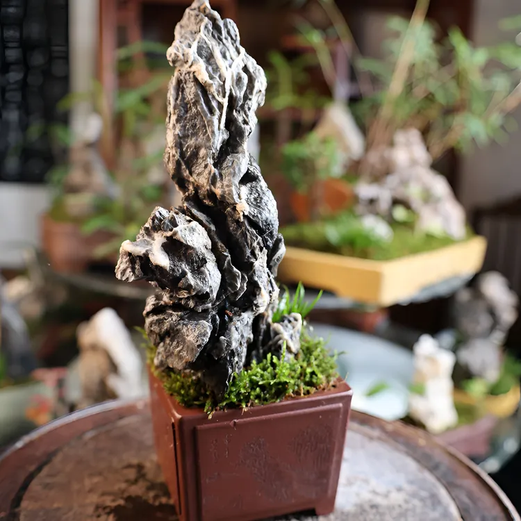 英石耸峰｜附石盆景微景观石景盆栽英德石张可磊紫砂盆贵船台菖蒲