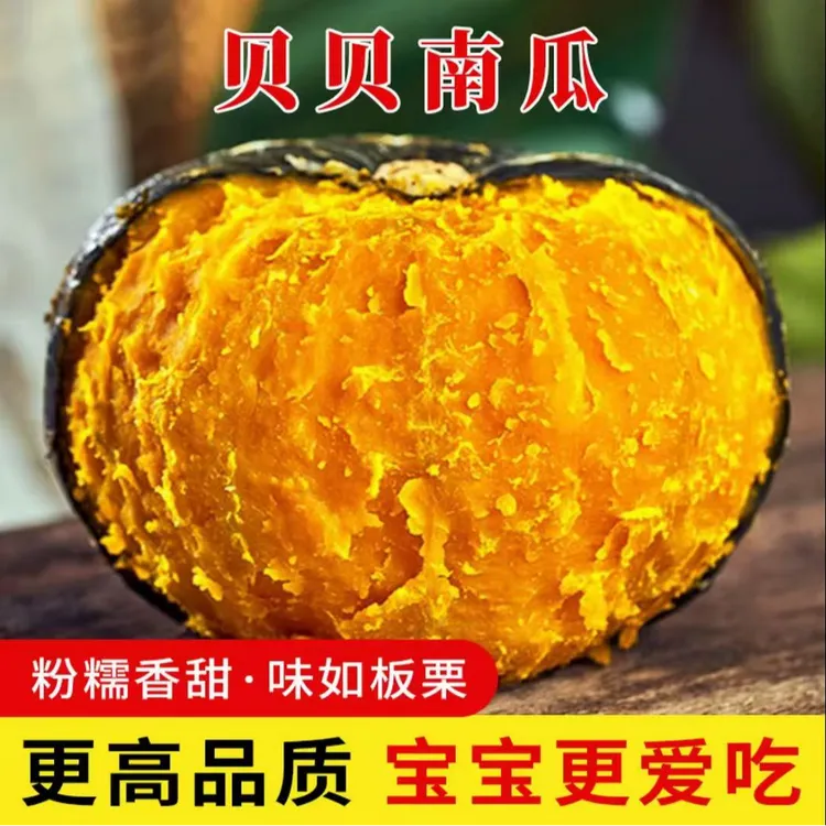 内蒙真贝贝南瓜粉糯香甜板栗味小南瓜代餐南瓜贝贝