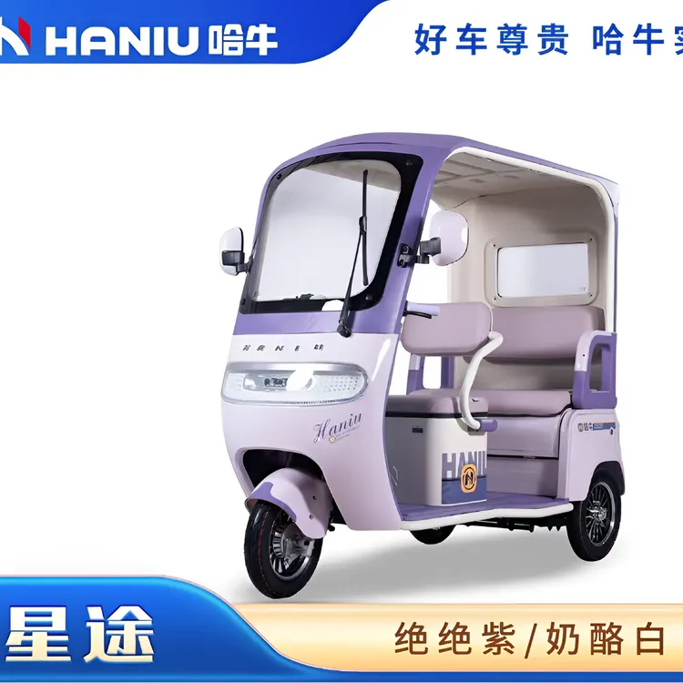 HANIU/哈牛【整车发货】哈牛新国标电动三轮车星途带蓬雨帘工厂直营