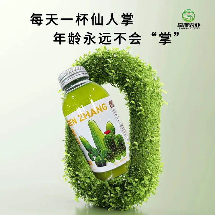 掌涂农业仙人掌榨汁