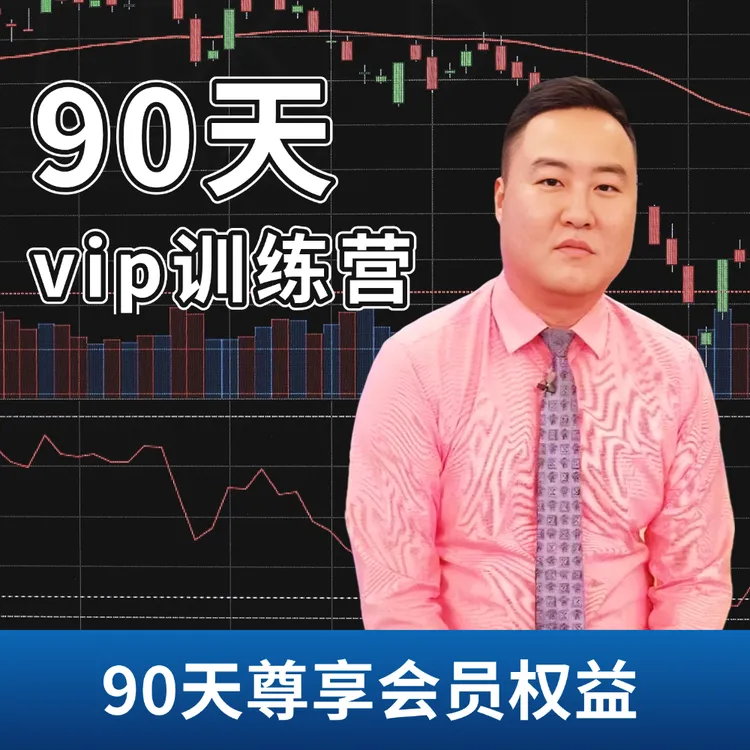 90 天 vip训练营