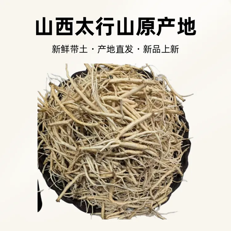 山西太行山原产地人工种植潞党参新鲜带土可泡酒煲汤滋补产地直发