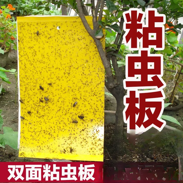 粘虫板黄板双面诱虫板灭虫板捕虫诱虫杀蚜虫诱捕器捕捉小飞虫板