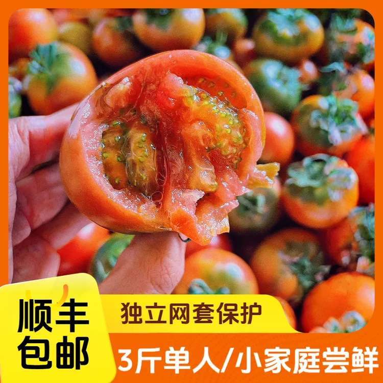 【3斤】顺丰包邮内蒙种植草莓西红柿酸甜可口现摘现发新鲜可生吃