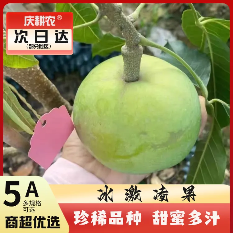 【顺丰包邮】稀有品种白柿冰激凌果孕妇水果细腻香甜水果