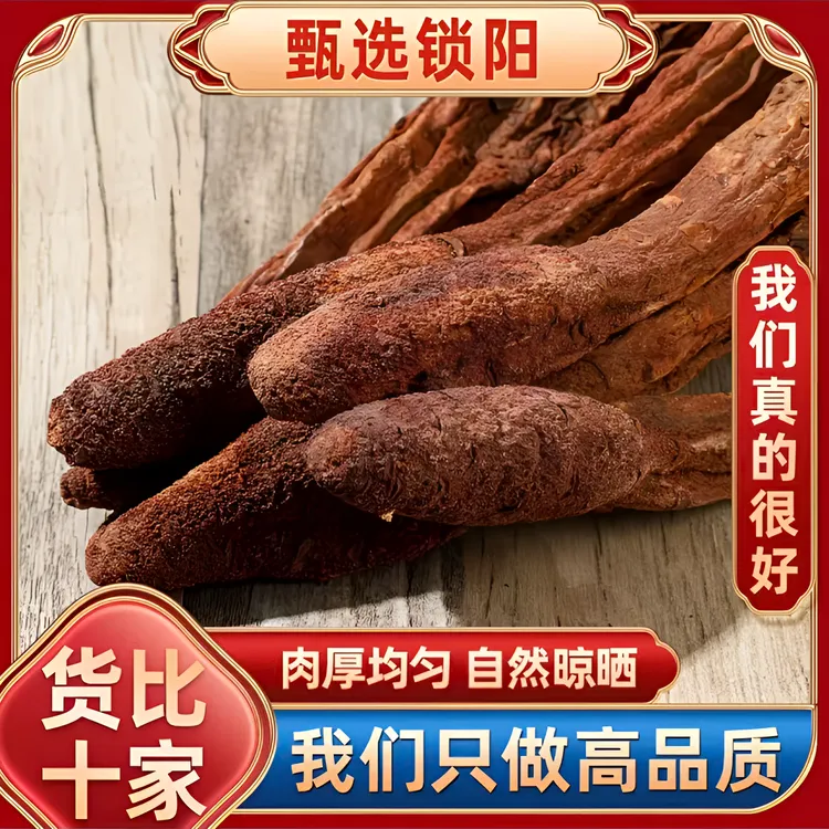 锁阳整个中药材金锁阳整根锁阳整枝切片阿拉善荒漠泡水泡酒