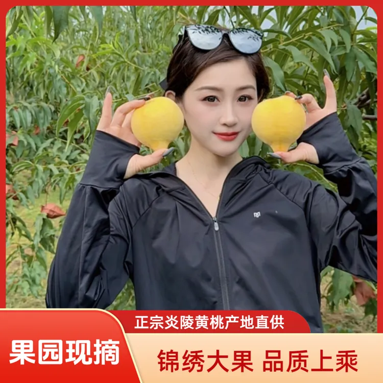正宗炎陵黄桃果园现摘现发香甜脆新鲜水果5斤礼盒装大果锦绣黄桃