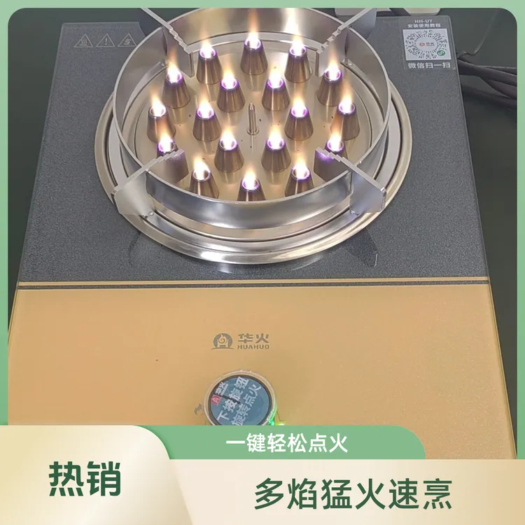 新款电火灶电焰灶3000w电生明火单灶家用电陶炉出租房公寓专用