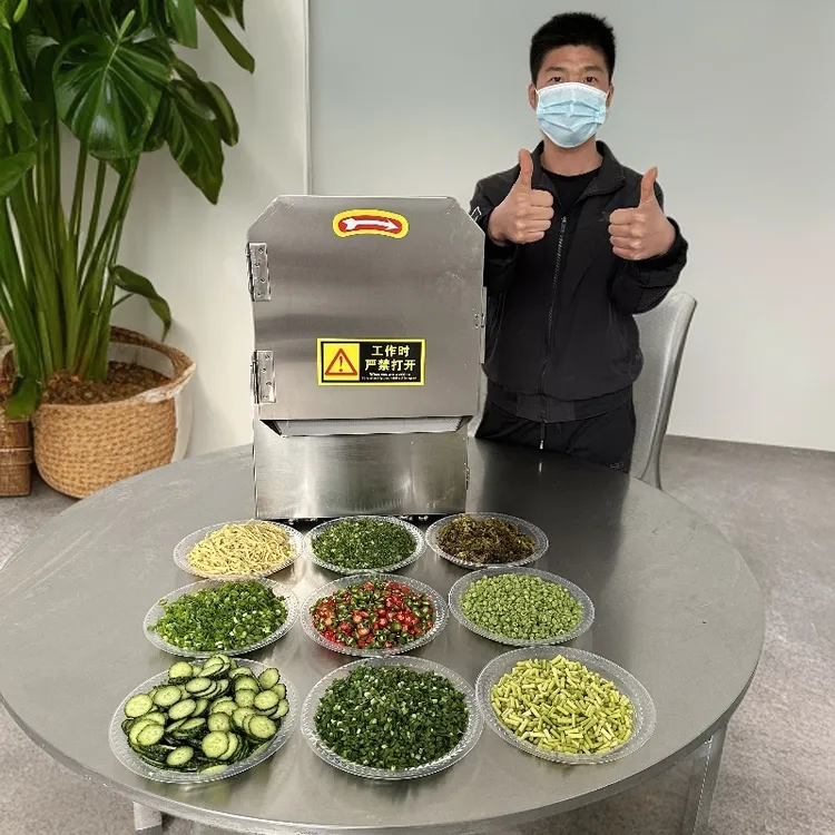 新款小型商用切菜机切韭菜葱花辣椒机多功能酸菜切馅机切丝切片机