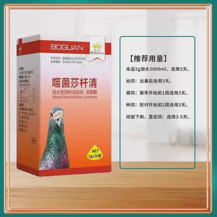 赛鸽沙门氏大肠杆菌副伤寒水绿便营养品助力肠道健康