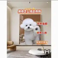 仅仅教你怎样选狗狗和饲养课程讲解