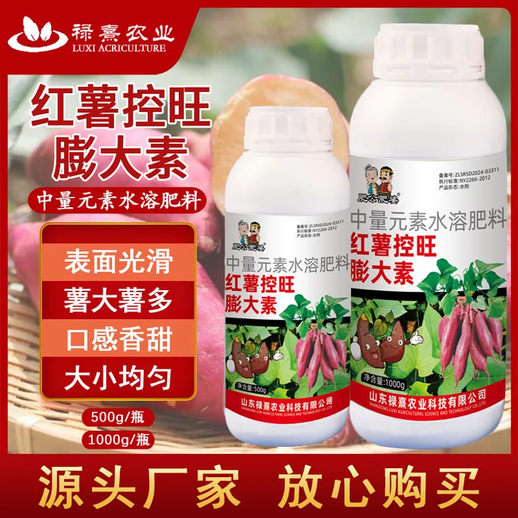 红薯专用控旺膨大素增产控上促下表面光滑预防畸形防裂果高产农肥