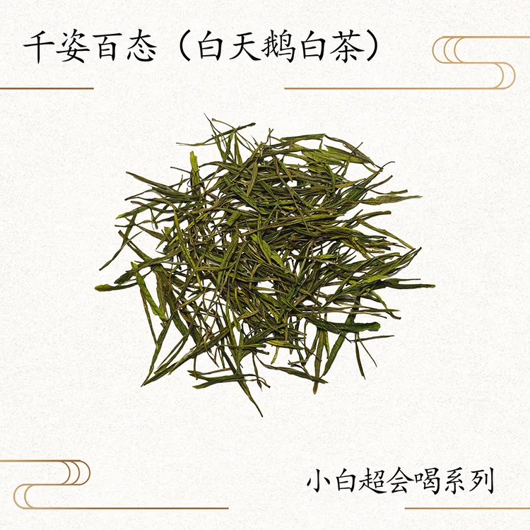 茶农款【白天鹅云雾白茶】鲜甜鲜爽不苦涩兰花香耐泡-拆封不可退换