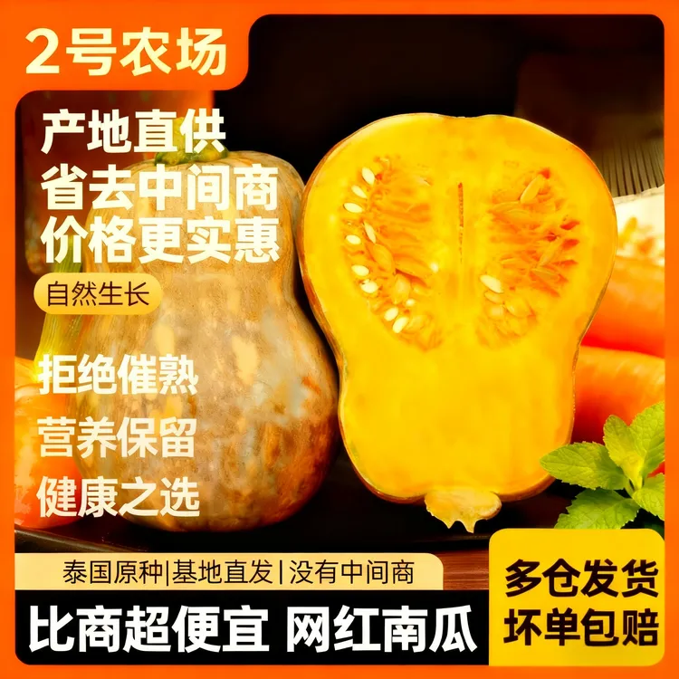 花生南瓜现摘香甜软糯金香小南瓜适合孕妇宝宝辅食板栗味道粉糯