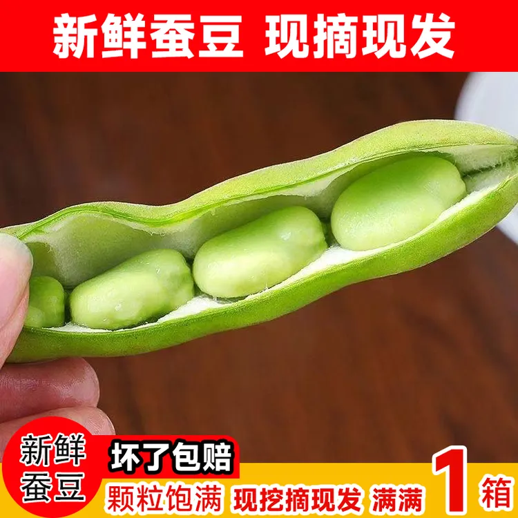 [加冰袋发货]应季新鲜蚕豆青皮蚕豆兰花豆颗粒饱满现摘现发