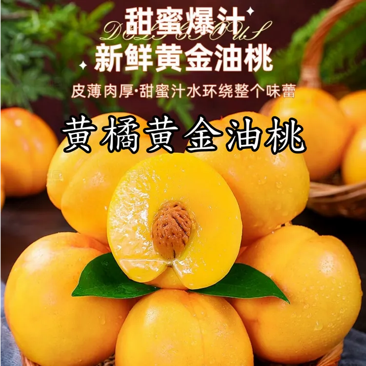 山东蒙阴黄橘黄金油桃新鲜应季甜嫩多汁水果3斤/4.5斤
