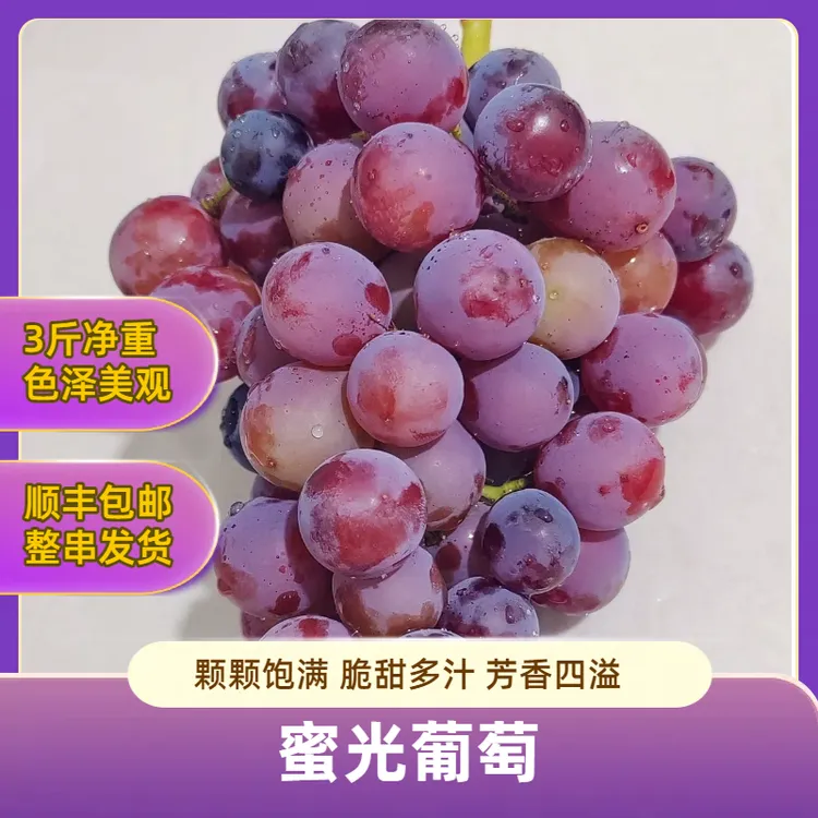 【精品】白滩寺蜜光葡萄应季新鲜精品水果果园直邮