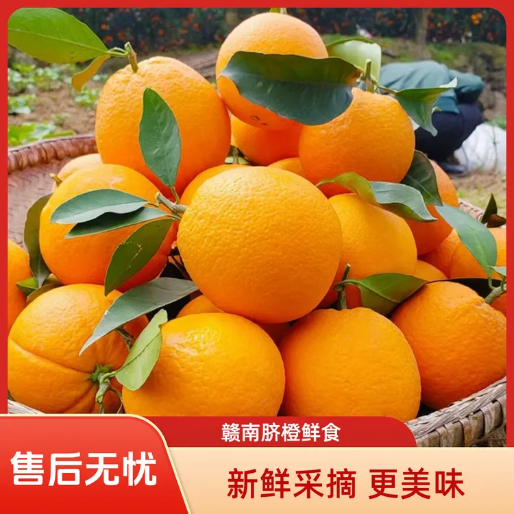 正宗寻乌脐橙5斤10斤装2025新鲜水果赣南橙子赣南脐橙10斤装薄皮