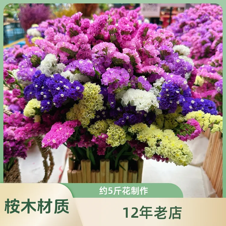 勿忘我干花大盆约5斤花量制作自然风干云南鲜花直发花盆桉木材质
