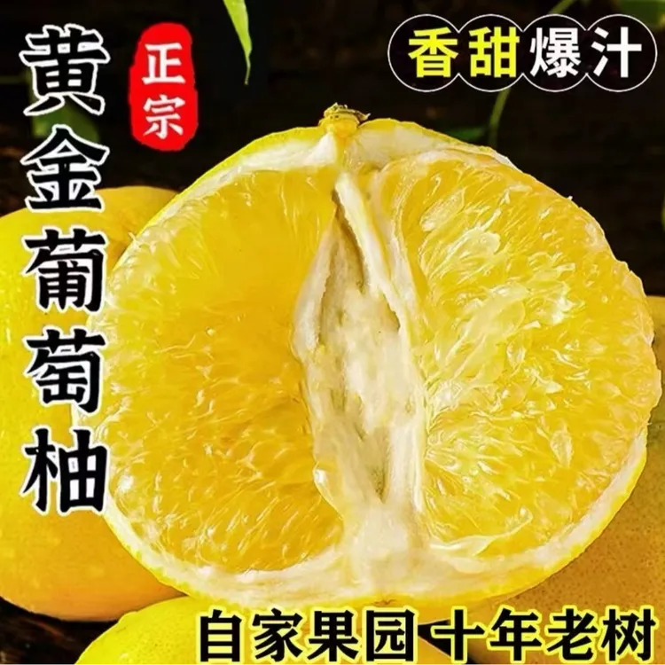 福建爆汁黄金葡萄柚当季老树水果清甜可口孕妇水果现摘现发带枝叶商品图