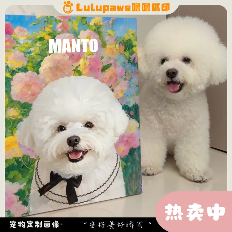 噜噜爪印宠物定制 盲盒画像 猫狗装饰画 客厅卧室墙挂画 纪念礼物