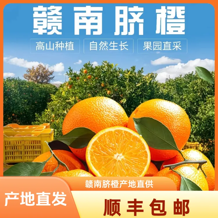 赣南脐橙应季水果新鲜多汁新鲜采摘产地直发包邮到家坏果包赔