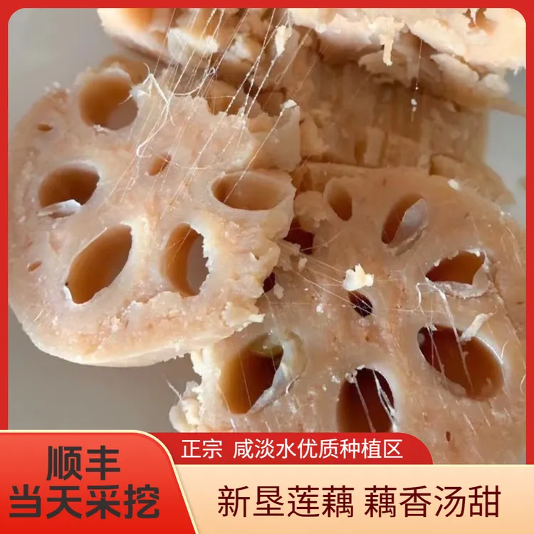 【新垦莲藕】正宗煲汤粉藕咸淡水优质种植远近驰名原泥保鲜净3/5斤