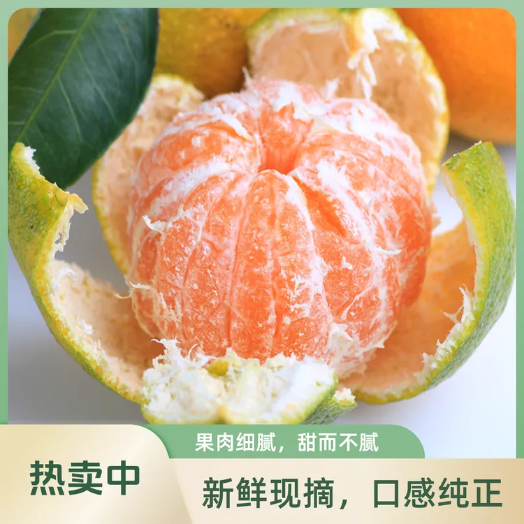 【农家自种】宜昌笕口青桔新鲜现摘酸甜可口皮薄多汁孕妇小孩都爱吃