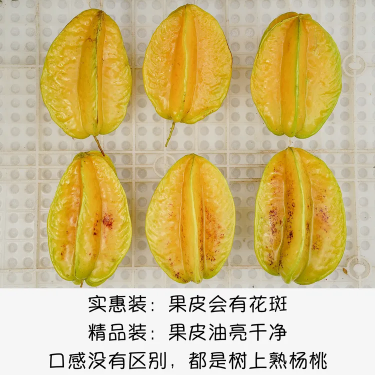 福建下河杨桃3/5斤顺丰包邮树上熟新鲜采摘果香浓郁清甜多汁