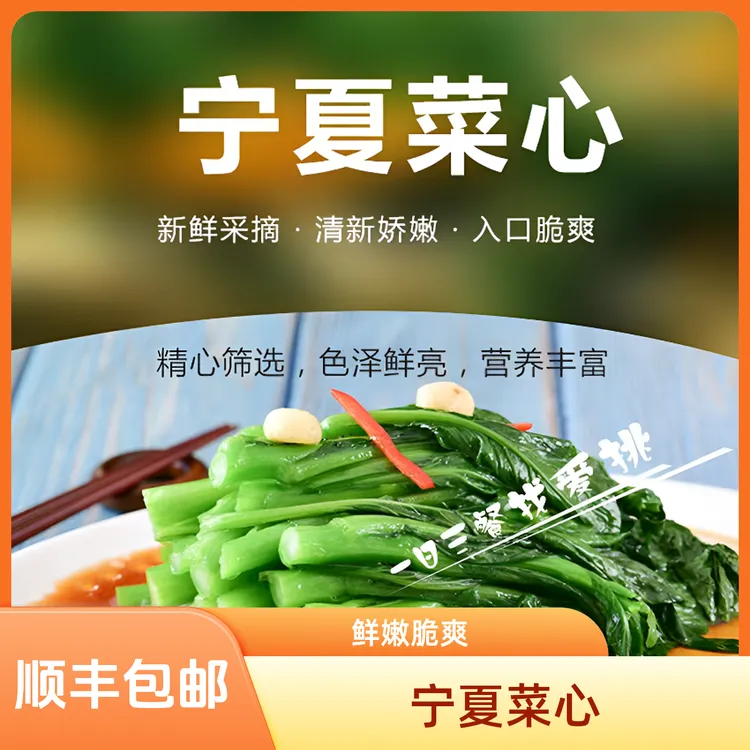 精选宁夏菜心新鲜现摘菜心当日现发货凉拌炒菜食材广东菜心
