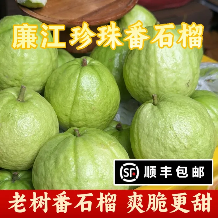 【顺丰包邮】清甜脆口白心番石榴新鲜采摘低糖低卡高VC孕妇水果芭乐