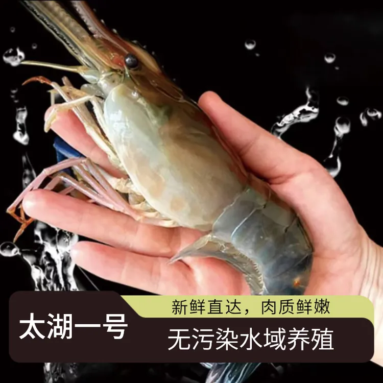 【太湖一号】苏州超大虾12-15只/斤肉质鲜美保鲜不保活