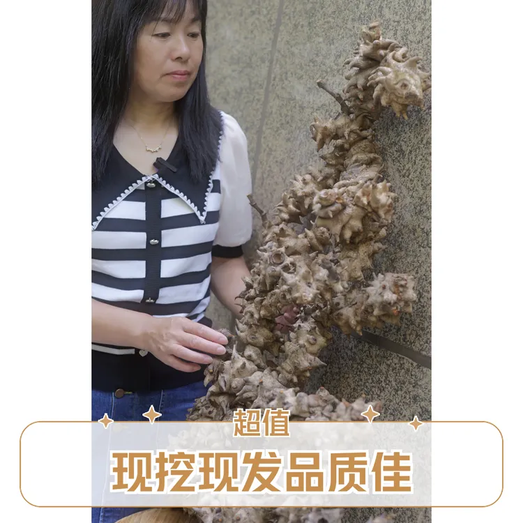 山货野生金刚藤鲜货金刚根现挖现发煲汤炖排骨泡酒