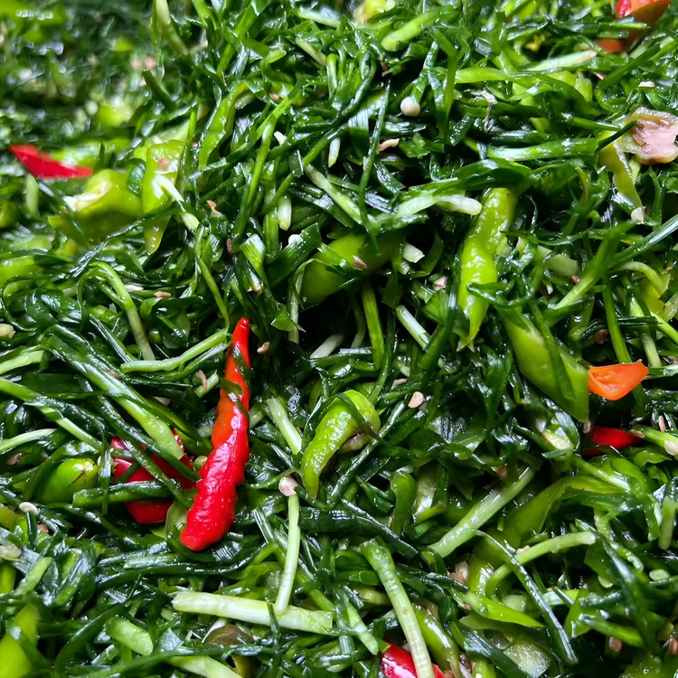安徽农家小菜韭菜腌辣椒腌韭菜腌辣椒腌菜腌洋姜咸菜好吃下饭菜