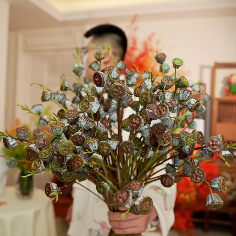 云南产地优选【钻石尤加利老果】新鲜采摘尤加利果花束可干花客厅