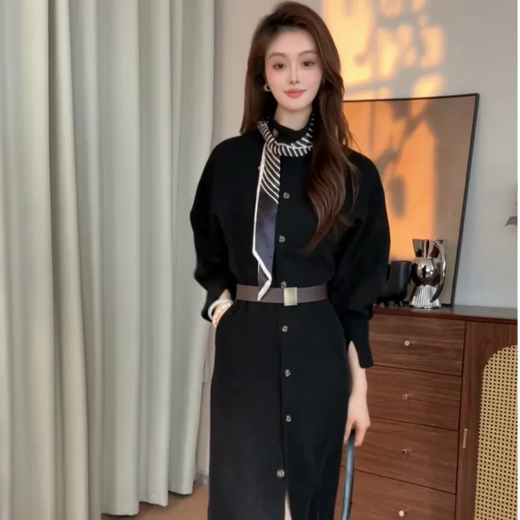 2025秋上新高级感气质立领风衣连衣裙女显瘦心机法式宽松长款外套