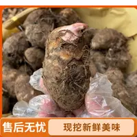广丰新鲜现挖棉芋芋头芋母香软粉糯自种品质蔬菜