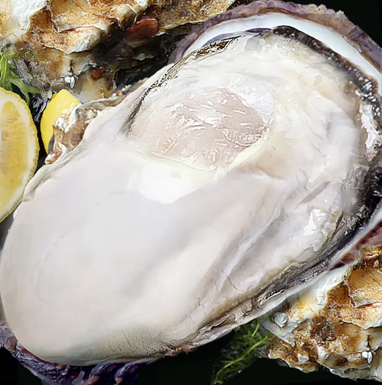【波玲姐专属】精品带壳生蚝 现捕现发鲜活肥美 10斤送1斤 京东冷链