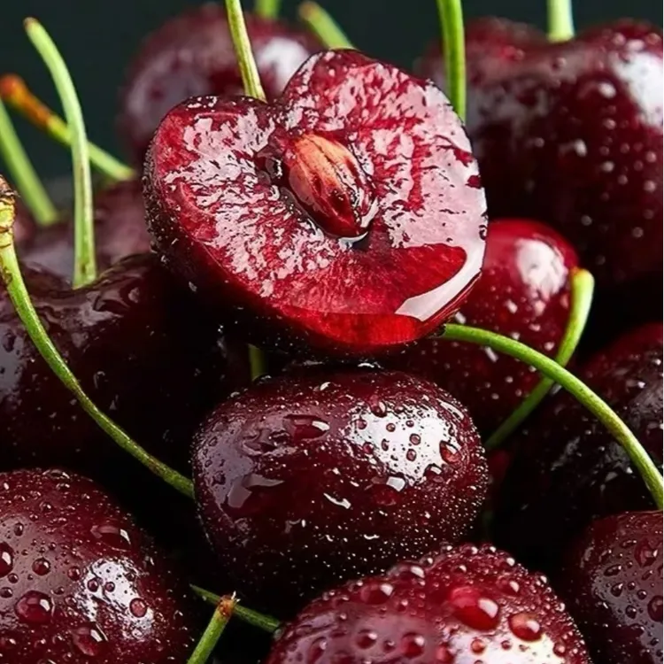 原箱5斤3JD特大果【桑提娜】顺丰包邮智利进口车厘子内附果径卡海运