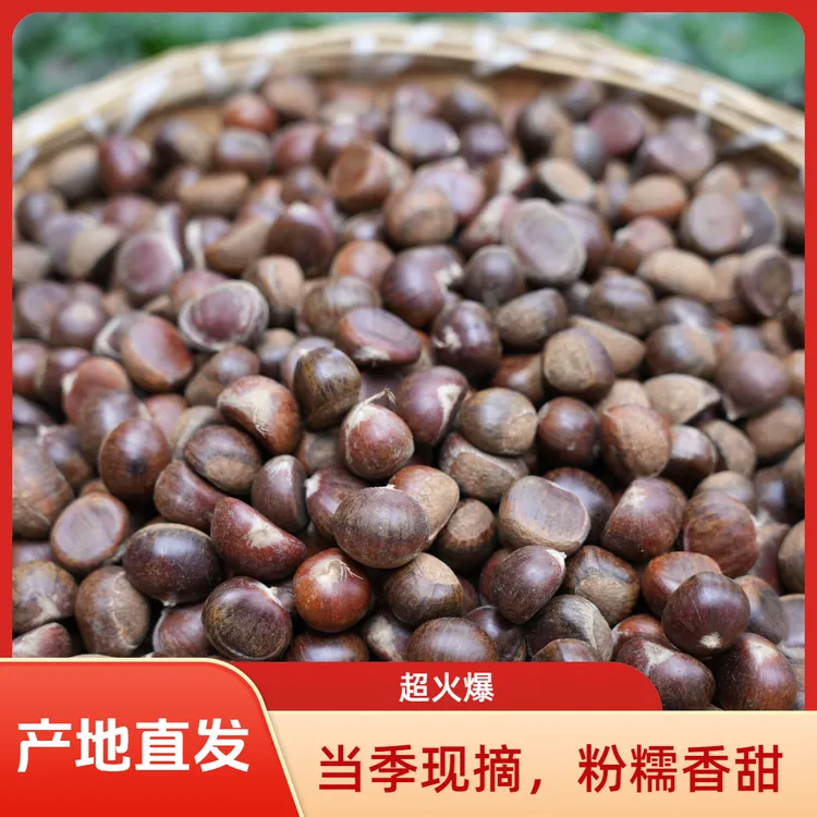 秦岭毛栗陕西老树毛栗子新鲜高山毛栗子带壳当季现摘1斤3斤5斤