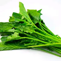 【菠菜】精包-优选菠菜1份（250-300g ）菠菜