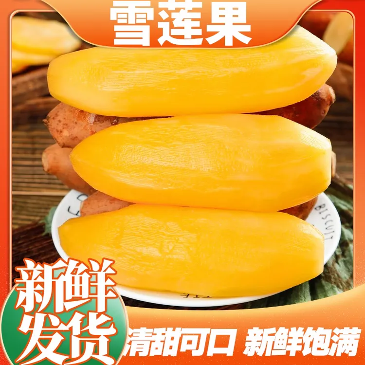 云南天山雪莲果现挖应季新鲜水果清甜脆爽多汁黄心