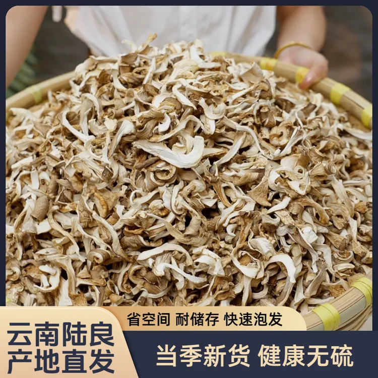 云南特产(精品)农家平菇干货干净无杂凤尾菇散装菌菇批发净重发货