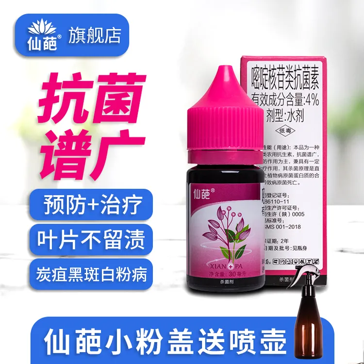 仙葩液体多菌灵兰花杀菌剂白粉病多肉花卉月季黑斑病炭疽病