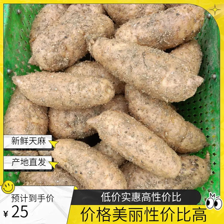 小果/新鲜天麻8～10个／1斤