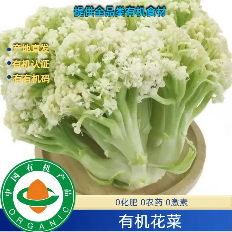 有机认证有机花菜有机菜花3斤有机花菜有有机证书，现摘现发无农残